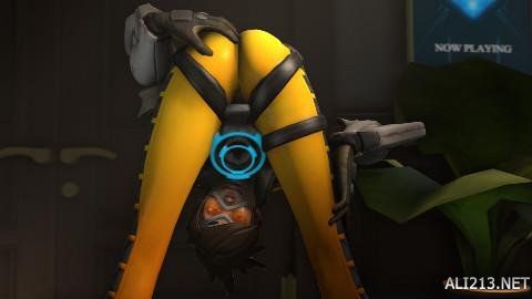 仅帮助球队 仅帮助球队